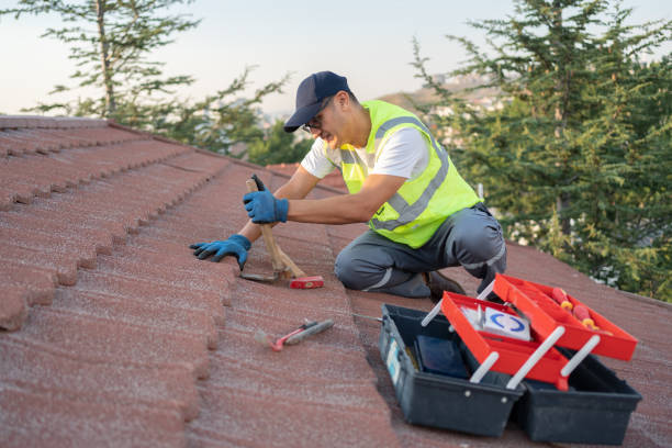 Best Sealant for Roof  in Grantville, GA