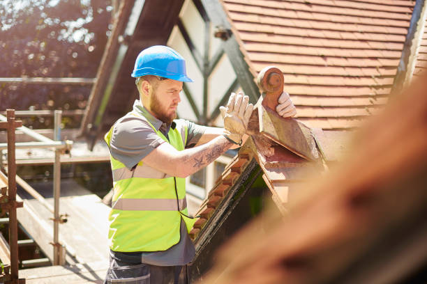 Best Roof Gutter Cleaning  in Grantville, GA